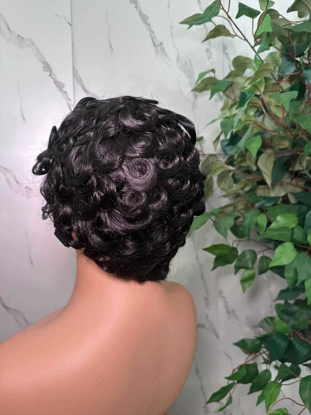 Wig Aria