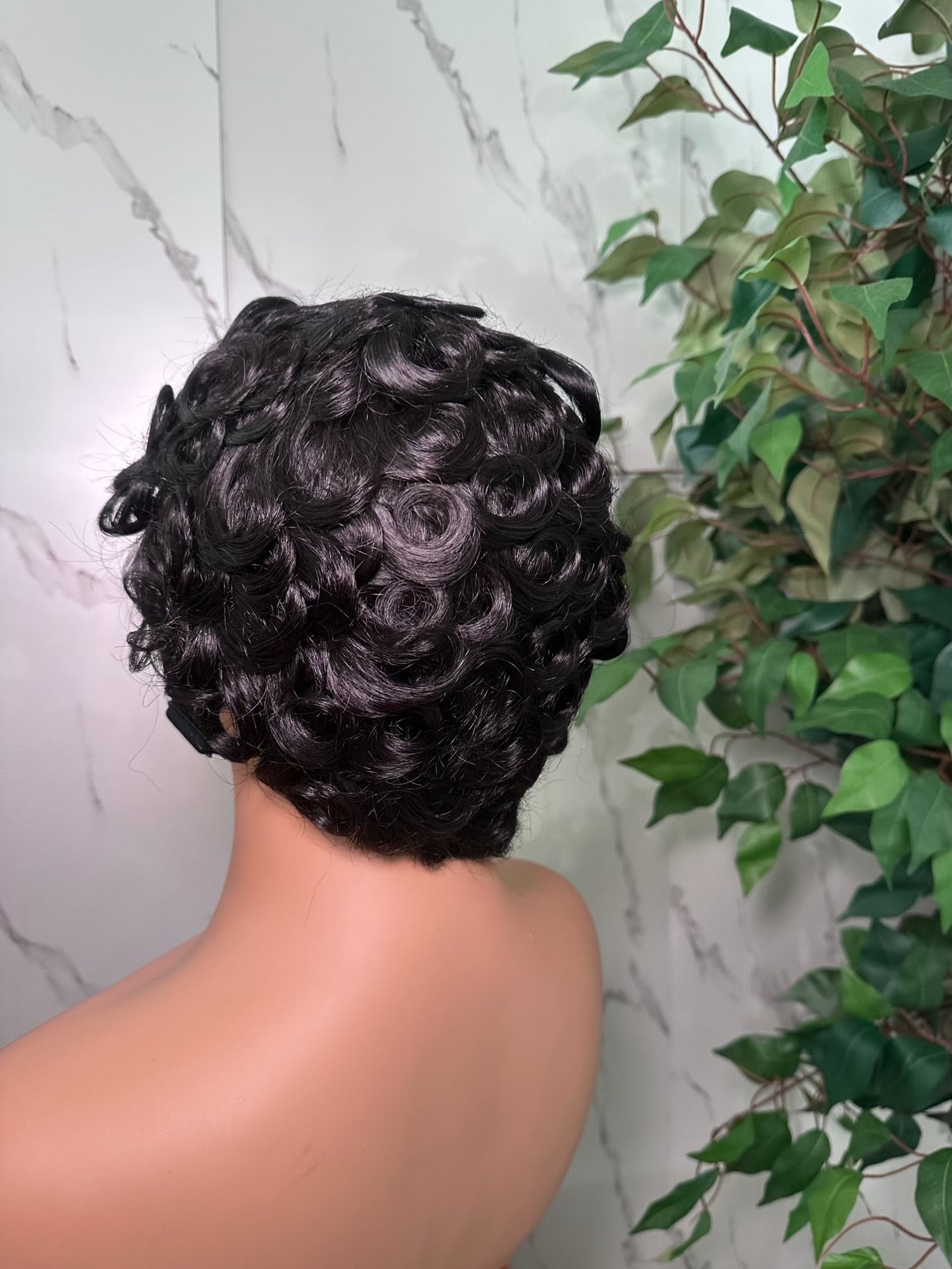Wig Aria